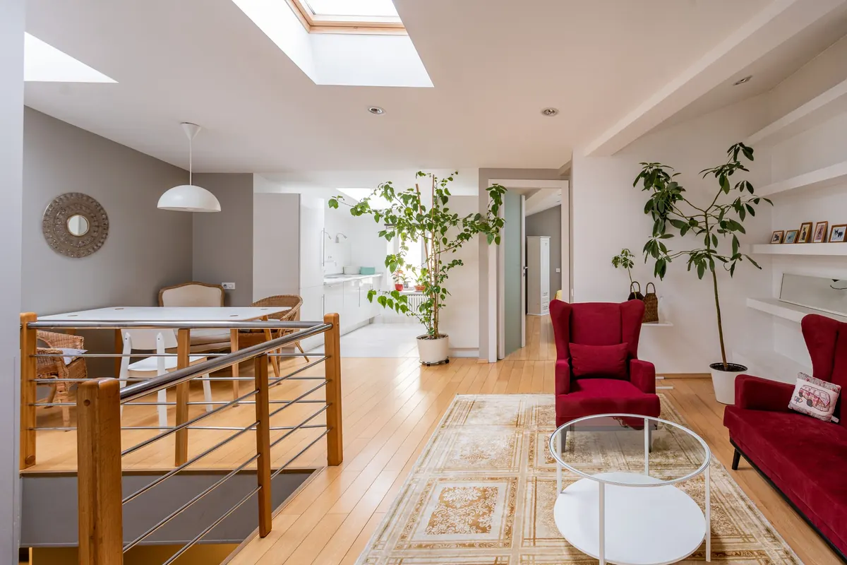 The finished open-plan living and dining room: oak floor, red armchairs, big plants and two rooflights.